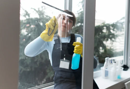 Nettoyage de vitres intérieures et extérieures à la Grand-Combe